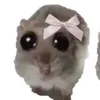 analopre_