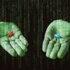 THE RED PILL