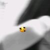 paola19_22