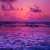 the_vibe_tra1n