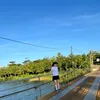 hi3n0808
