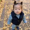 ぜんぴぐらむ