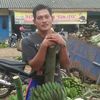bos.tello