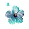 r.rakib.007
