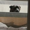 ted.journiette