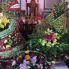phngmai1762