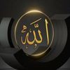 fesihylmaz7