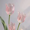 bb.esperanza