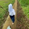 mitawlndri01