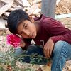 shifat.shikdar