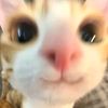 zyee_s