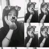 urlove_nisaaww