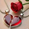 hooriyaansari33