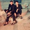 ameer.hamza4733