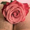 mariam.akl43