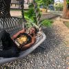 milas_24official_