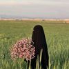 nourmohamedroby