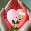 zaher.amoreee