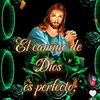 robinson_poloche