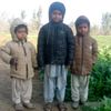 mumtaz7409mumtaz7409