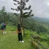 luluk.kharisma5