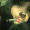 stephanie_stephy00