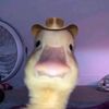 darsh7184