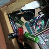 tokay743