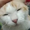 dewi.puspita608