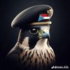 aljanub.alearabiu