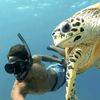 oceanlover_swissb