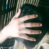 ookyawlay465