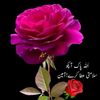 hajiasadullah1511