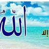 user1603801413282