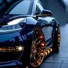 plat_z.cms
