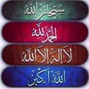 user7008166521261