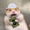 yaazsditt