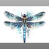 dragonfly1221_