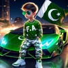 arshad.mehmood7098