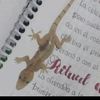 gaddiel102
