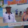 carlosolivo381