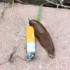 helllo_206