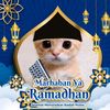 habibrajik480