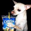 caprixv