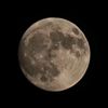 mooncoven