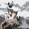 TOP FUNNY - 爆笑注意