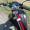 eldelaloncincr300_