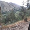 luisa.floresp
