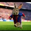 joseguillermomejia2