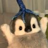 pengwaan7